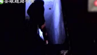 奇闻异事爆料视频,视频爆料背后的惊人真相  第1张